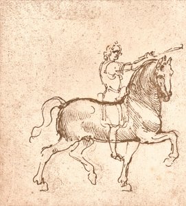 Zeichnung eines gehenden Pferdes, um 1472-um 1519, 1883 von Leonardo da Vinci