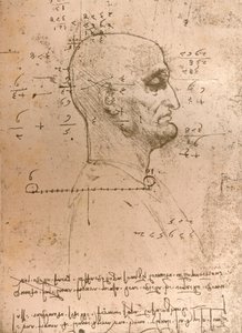 Zeichnung des Kopfes eines Kriminellen, um 1472-1519, 1883 von Leonardo da Vinci