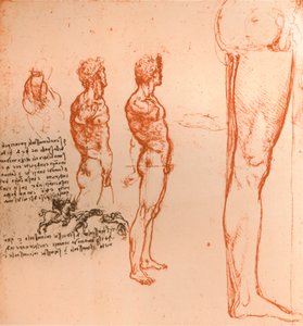 Zeichnungen, die die Bewegungen der menschlichen Figur und kämpfende Krieger zeigen, ca. 1472-1519, 1883