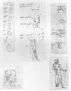 Fünf Zeichnungen zur Theorie der Proportionen der menschlichen Figur, ca. 1472-1519 von Leonardo da Vinci