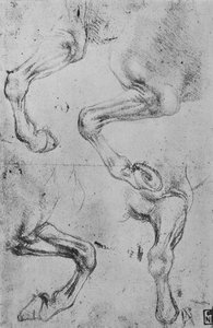 Vier Studien von Pferdebeinen, ca. 1480