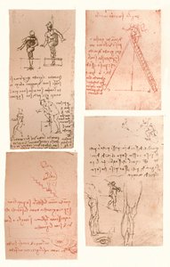 Vier Zeichnungen zur Theorie der Bewegungen der menschlichen Figur, um 1472-um 1519, 1883 von Leonardo da Vinci