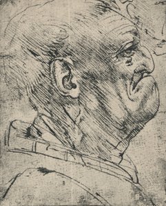 Groteskes Profil eines Mannes nach rechts von Leonardo da Vinci