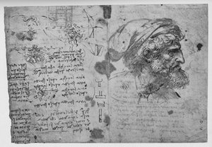 Kopf und Schultern eines bärtigen Mannes, ca. 1480