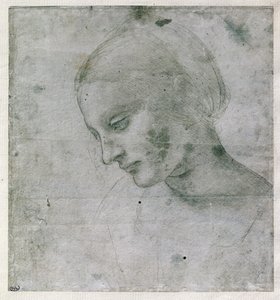 Kopf einer jungen Frau oder Kopf der Jungfrau, um 1490