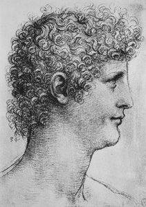 Kopf eines Jugendlichen im Profil nach rechts, ca. 1480, 1945 von Leonardo da Vinci