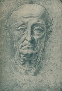 Kopf eines alten Mannes von Leonardo da Vinci