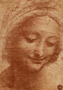 Kopf der Frau oder der Sant