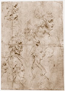 Köpfe von Mädchen, jungen und alten Männern, 1478-1480 von Leonardo da Vinci
