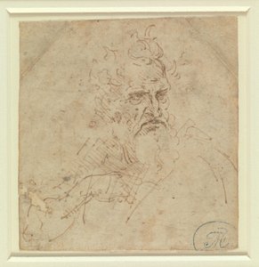 Kopf eines grimmig blickenden Greises mit rechtem Arm von Leonardo da Vinci