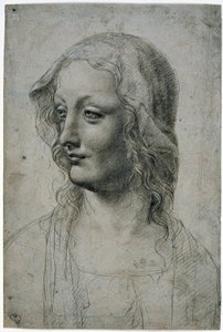 Maestro della Pala Sforzesca (Mailänder Schüler von Leonardo da Vinci), Frauenkopf mit Schleier, vielleicht eine Studie für die Jungfrau, GDSU 426 E von Leonardo da Vinci