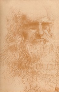 Porträt eines Mannes in Rötel, um 1512, 1932 von Leonardo da Vinci