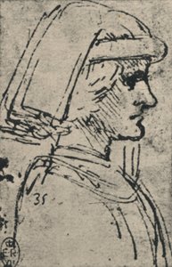Profil eines jungen Mannes mit Chaperon von Leonardo da Vinci