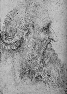 Profil eines alten, bärtigen Mannes nach rechts, ca. 1480, 1945 von Leonardo da Vinci