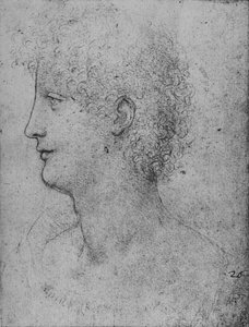 Profil eines lockigen Jugendlichen nach links, ca. 1480, 1945 von Leonardo da Vinci