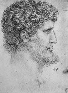 Profil eines bärtigen Mannes nach rechts, ca. 1480, 1945 von Leonardo da Vinci