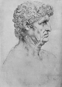 Profil eines älteren Mannes nach rechts, um 1480 1945 von Leonardo da Vinci