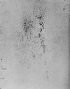 Profil eines alten Mannes nach rechts, ca. 1480 von Leonardo da Vinci
