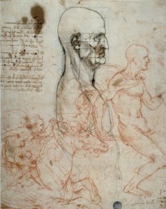 Proportionsschema des menschlichen Kopfes und Reiterstudien von Leonardo da Vinci