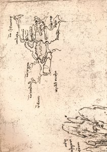 Skizzenkarte von Armenien, um 1472-1519, 1883