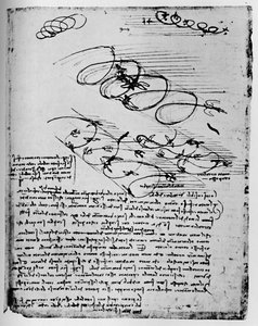 Studien von Vögeln im Flug beim Aufsteigen und Kreisen, 1928 von Leonardo da Vinci