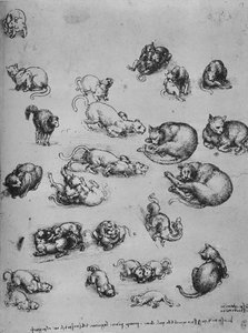 Studien von Katzen und einem Drachen, ca. 1480, 1945