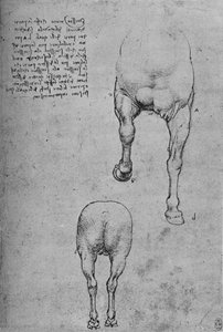 Studien der Vorder- und Hinterviertel eines Pferdes, ca. 1480