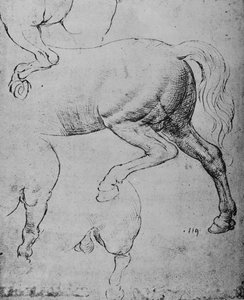 Studien der Hinterviertel und Hinterbeine eines Pferdes, ca. 1480, 1945