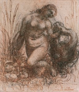 Studie für Leda und der Schwan von Leonardo da Vinci, Zeichnung