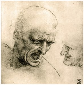 Studie für den Kopf eines Kriegers von Leonardo da Vinci