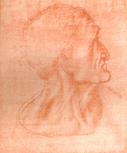 Studie für den Kopf von Judas in `Das letzte Abendmahl`, ca. 1494-ca. 1499 von Leonardo da Vinci