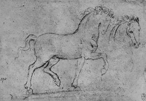 Studie eines Pferdes und eines Pferdekopfes, ca. 1480 von Leonardo da Vinci