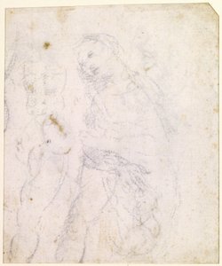 Studie einer Madonna von Leonardo da Vinci