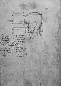 Studie eines männlichen nackten Torsos, der Kopf für Proportionen quadratisch, ca. 1480-1945 von Leonardo da Vinci