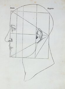 Der menschliche Kopf, Illustration für 