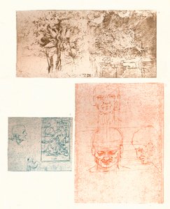 Drei Zeichnungen, um 1472-um 1519, 1883 von Leonardo da Vinci