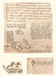 Drei Zeichnungen von Leonardo da Vinci