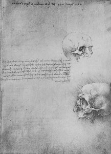 Zwei Zeichnungen der Knochenstruktur des Kopfes, ca. 1480