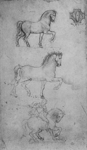 Zwei Studien eines Pferdes und eine eines Pferdes und Reiters, um 1480
