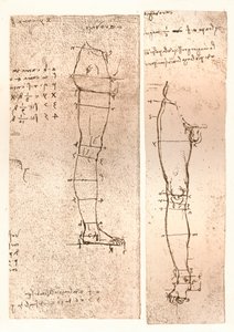 Zwei Zeichnungen zur Theorie der Proportionen der menschlichen Figur, 1883