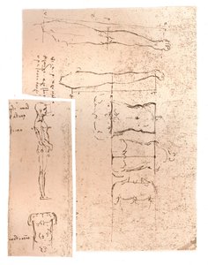 Zwei Zeichnungen zur Theorie der Proportionen der menschlichen Figur, ca. 1472-1519, 1883