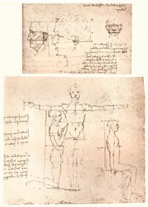 Zwei Zeichnungen zur Theorie der Proportionen der menschlichen Figur