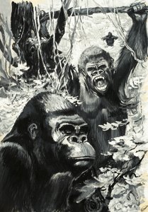 Gorillas