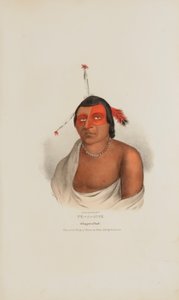 PE-A-JICK; Ein Chippewa-Häuptling, aus The Aboriginal Portfolio von Lewis, James Otto