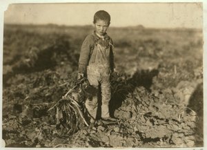 Die 6-jährige Jo zieht Zuckerrüben auf einer Farm bei Sterling, Colorado, 1915 von Lewis Wickes Hine