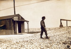 Einer der jungen Austernöffner, Pass Christian, Mississippi, Februar 1911 (Sepia-Foto) von Lewis Wickes Hine