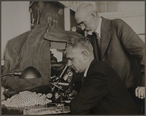 Forschung von Lewis Wickes Hine