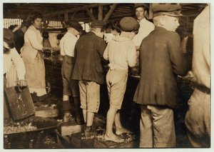 Shrimp-Picker, darunter der 8-jährige Max, bei Dunbar, Lopez, Dukate Co, Biloxi, Mississippi, 1911 von Lewis Wickes Hine