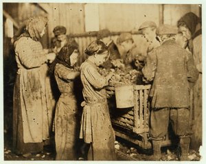 Schucker im Alter von etwa 10 Jahren öffnen Austern in der Varn und Platt Canning Company, Younges Island, South Carolina, 1913 von Lewis Wickes Hine