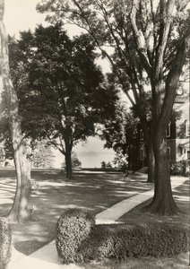 Ohne Titel, ca. 1935 von Lewis Wickes Hine